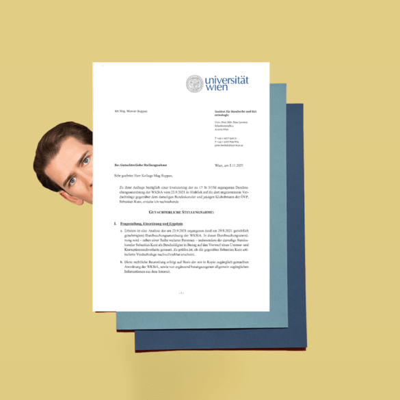 Gutachten in der Causa Kurz