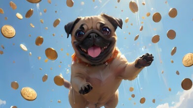 floo WEB Cover Foerderung 5 // floo.Magazin