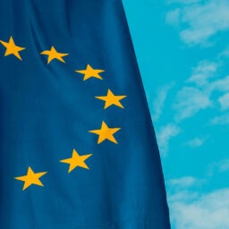 floo Europawahl 2024 WEB Cover // floo.Magazin