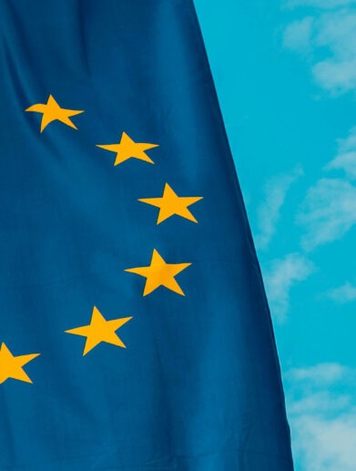 floo Europawahl 2024 WEB Cover // floo.Magazin