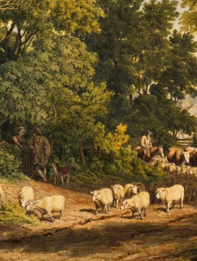 floo WEB Cover Junge Republik Oesterreich 1 // floo.Magazin