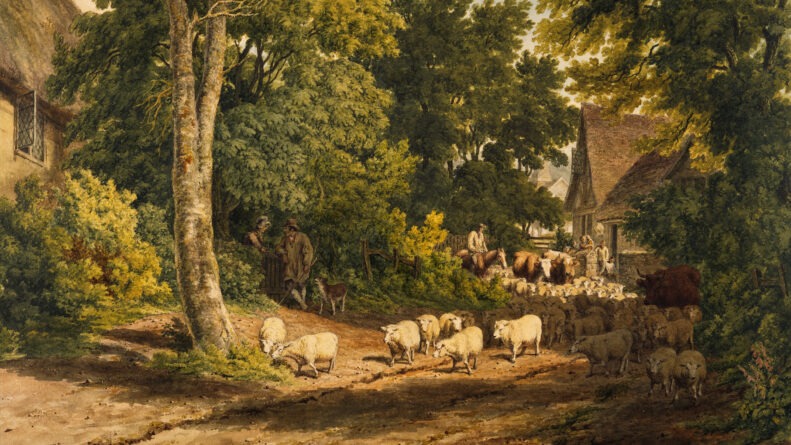 floo WEB Cover Junge Republik Oesterreich 1 // floo.Magazin