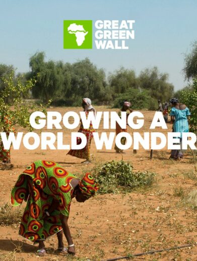 GGW Messaging 03 // floo.Magazin