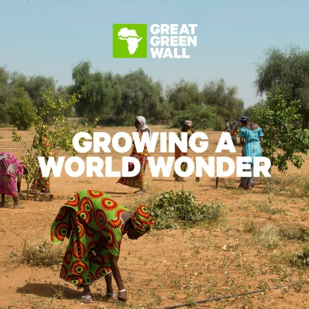 GGW Messaging 03 // floo.Magazin