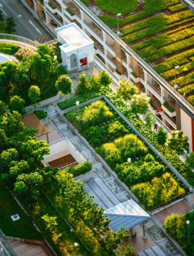 floo Urban Gardening WEB Cover // floo.Magazin