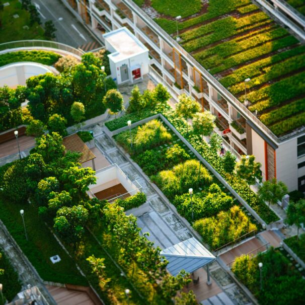 floo Urban Gardening WEB Cover // floo.Magazin