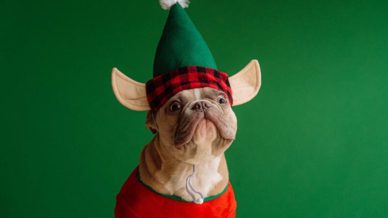 floo christmas 2022 // floo.Magazin