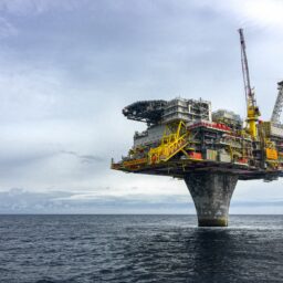 pexels janrune smenes reite 3192662 // floo.Magazin